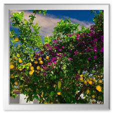 Was es sonst noch so zu sehen gab