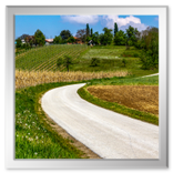 Spaziergang in der Umgebung Vucetinec