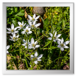 Spaziergang in der Umgebung Vucetinec