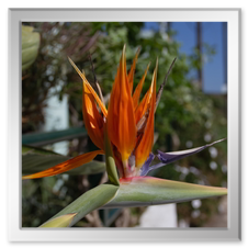 Was es sonst noch so zu sehen gab