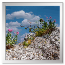 Was es sonst noch so zu sehen gab